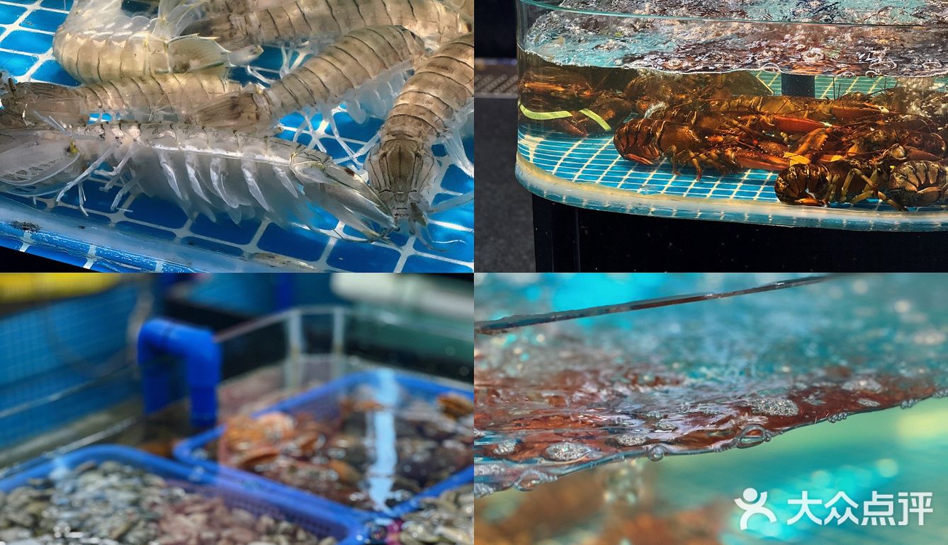 喂？都把人叫来三亚吃这家海鲜 太好吃了