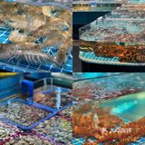 喂？都把人叫来三亚吃这家海鲜 太好吃了