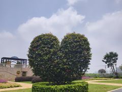-东莞植物园