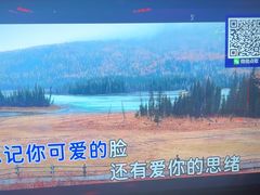 -998KTV(民治民乐店)