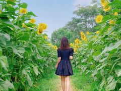 -奥林匹克森林公园北园-停车场