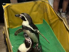 -太平洋海底世界