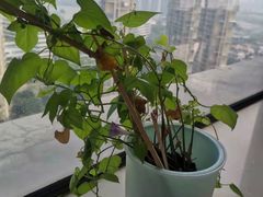 -佰推·肩颈腰·推拿理疗(湾悦城店)