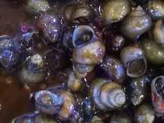 -大尚龙虾·烧烤·虾尾(银川店)