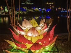 -南宫五洲植物乐园