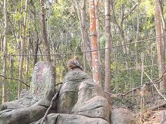 -普洱太阳河森林公园