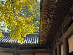 -龙兴寺