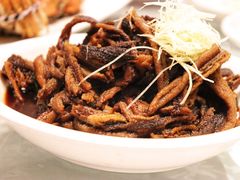 -新聚丰菜馆(太监弄店)