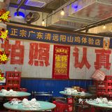 大吉大利，沉浸式吃鸡！阿招鸡煲可是给惊喜了！