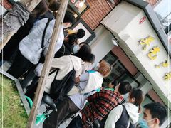 -邓氏兔头