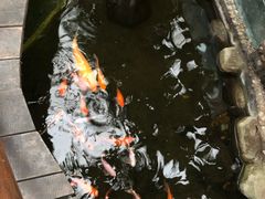 -上海大自然野生昆虫馆(东方明珠·爬宠昆虫探索中心)