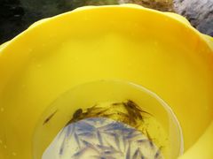 -华蓥山天意谷景区