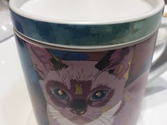 黑糖珍珠奶茶-飞行喵MR PILOT|猫舍·猫咖(静安大融城店)