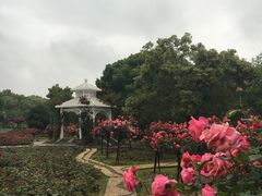 -东湖落雁景区