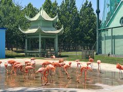 -秦皇岛野生动物园