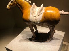 -宁夏博物馆