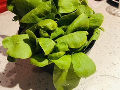 茼蒿菜-京韵胡同·酱香羊蝎子火锅涮肉(长寿路店)