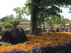 -南通洲际绿博园