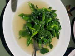 -老吉堂上海本帮菜(望京万象汇店)