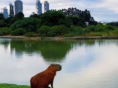 -重庆彩云湖湿地公园