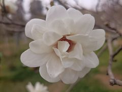 -陕西省西安植物园