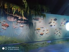 -中国湿地博物馆