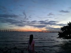 -宝安西湾红树林湿地公园