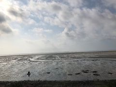 -北海金海湾红树林生态旅游区