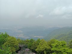 -梧桐山风景名胜区