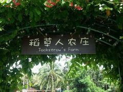 android_upload_pic-三亚亚龙湾红树林度假酒店