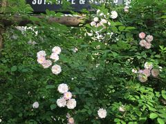 -陈熹公民族美食文化餐厅(中华广场店)