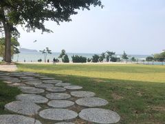 -傅家庄公园