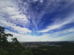 -北京西山国家森林公园