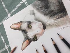 -八哥美术·成人美术画室(总校区)