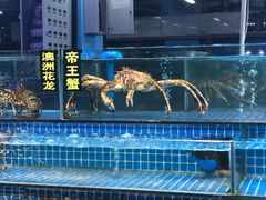 -渔人湾码头海鲜市场负二楼