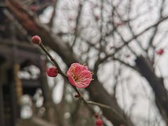 -石钟山