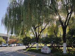 -西安国际创新人才交流中心•药浴温泉