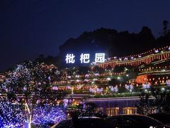 -枇杷园食为鲜火锅(南山店)