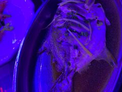 -钱大妈海鲜饭店(保利林语店)