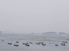 -大长山岛