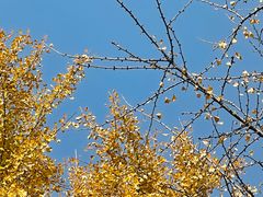 -狼山风景名胜区