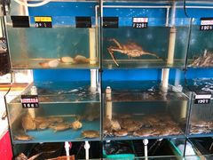 -台州卡金海鲜楼(上南路店)