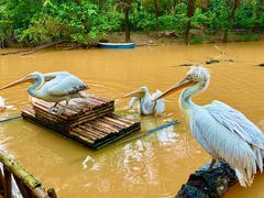 -济南野生动物世界