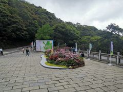 -梧桐山风景名胜区