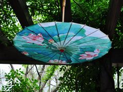 -白马涧龙池景区