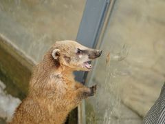 -杭州野生动物世界