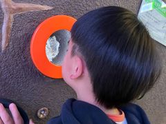 -苏州青少年科技馆