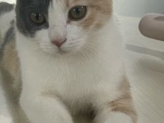 -万达广场(南宁青秀店)