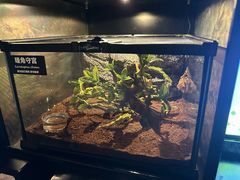 -太平洋海底世界