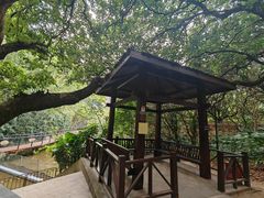 -月亮湾公园